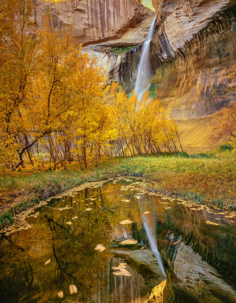 Big News: Bears Ears And Grand Staircase-escalente Restored!