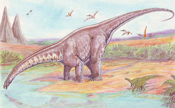 Apatosaurus, Wikipedia, public domain.