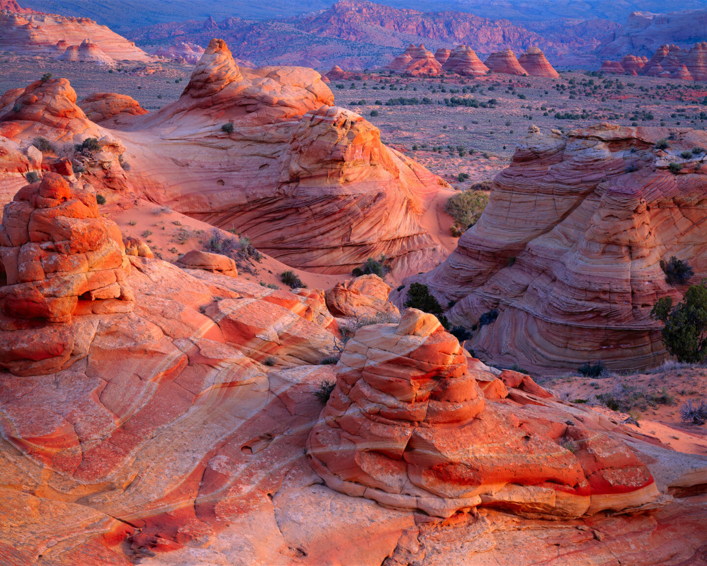 All Pueblo Council of Governors Endorses America’s Red Rock Wilderness ...