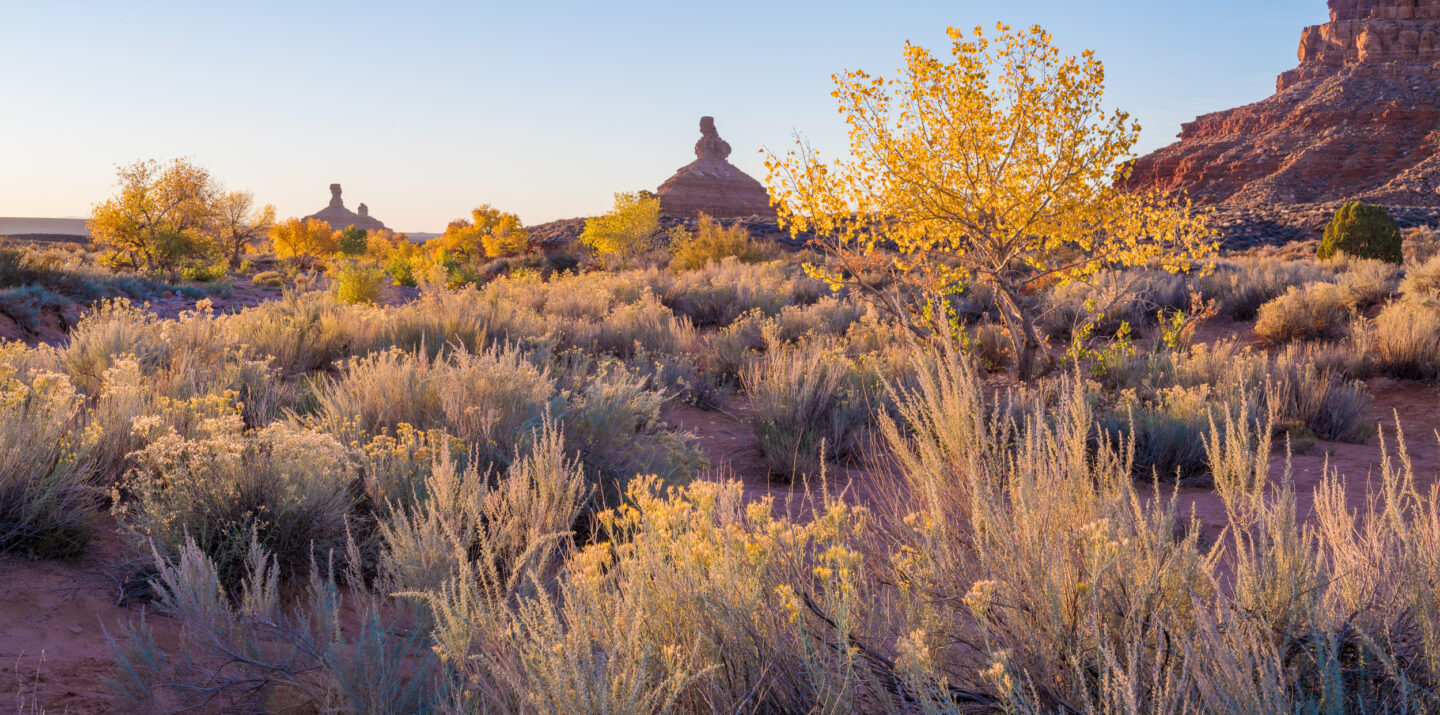 America’s Red Rock Wilderness Act Reintroduced in the 119th Congress ...