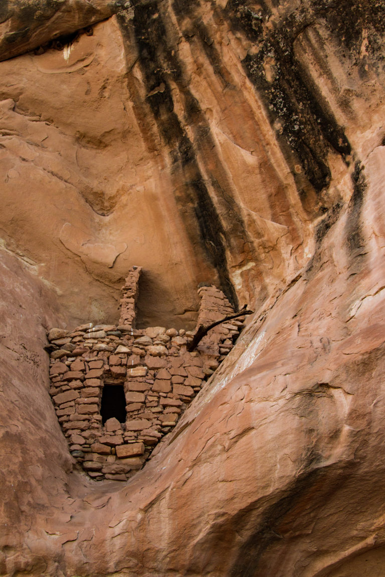 Escuela propuesta Fideicomiso de la tierra Arrendamientos de petróleo y